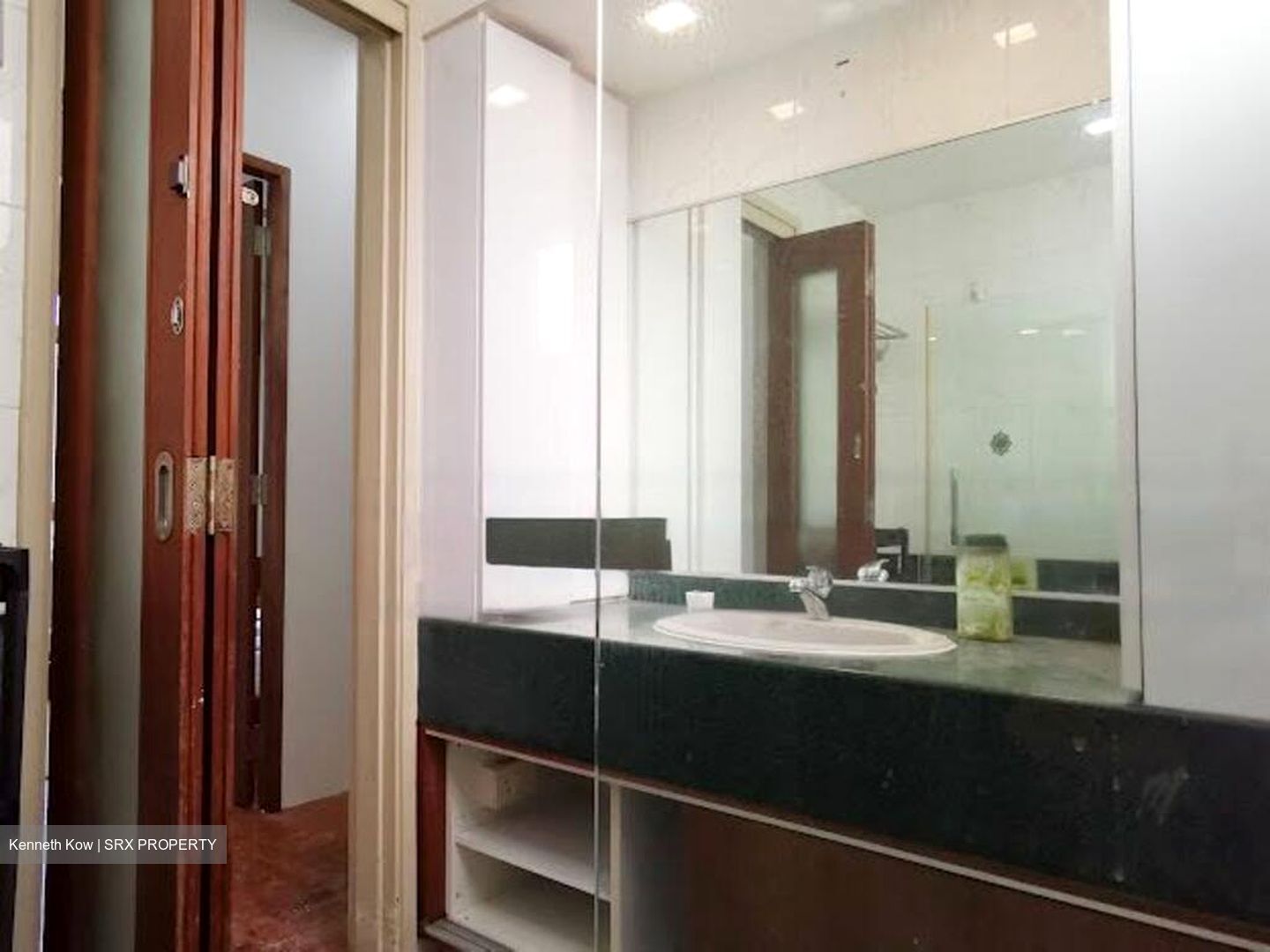 Bishan Park Condominium (D20), Condominium #484960201
